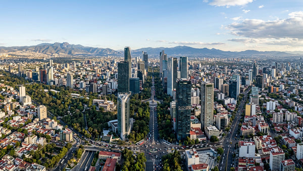Mexico city map art